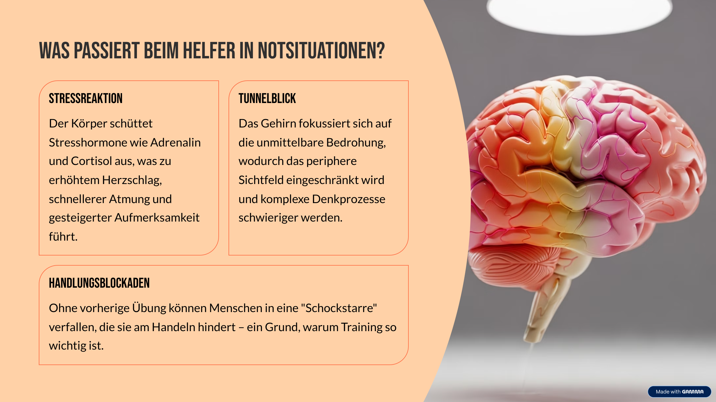 Wo passieren die meisten Herzstillstände? Zu Hause Etwa 70% aller Herzstillstände ereignen sich im häuslichen Umfeld. Hier sind meist Angehörige die ersten potentiellen Helfer vor Ort. Öffentliche Orte Etwa 20% der Fälle treten an öffentlichen Orten wie Arbeitsplätzen, Sportstätten oder Einkaufszentren auf. Krankenhaus Nur etwa 10% der Herzstillstände geschehen im Krankenhaus, wo sofortige professionelle Hilfe verfügbar ist. Da die meisten Herzstillstände zu Hause passieren, ist es besonders wichtig, dass Familienangehörige Reanimationsmaßnahmen beherrschen. Was passiert BEIM HELFER in Notsituationen? Stressreaktion Der Körper schüttet Stresshormone wie Adrenalin und Cortisol aus, was zu erhöhtem Herzschlag, schnellerer Atmung und gesteigerter Aufmerksamkeit führt. Tunnelblick Das Gehirn fokussiert sich auf die unmittelbare Bedrohung, wodurch das periphere Sichtfeld eingeschränkt wird und komplexe Denkprozesse schwieriger werden. Handlungsblockaden Ohne vorherige Übung können Menschen in eine "Schockstarre" verfallen, die sie am Handeln hindert – ein Grund, warum Training so wichtig ist.
